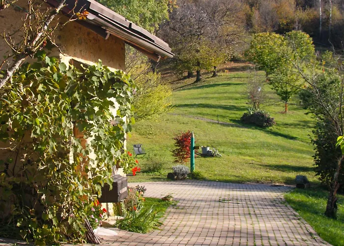il Bosco