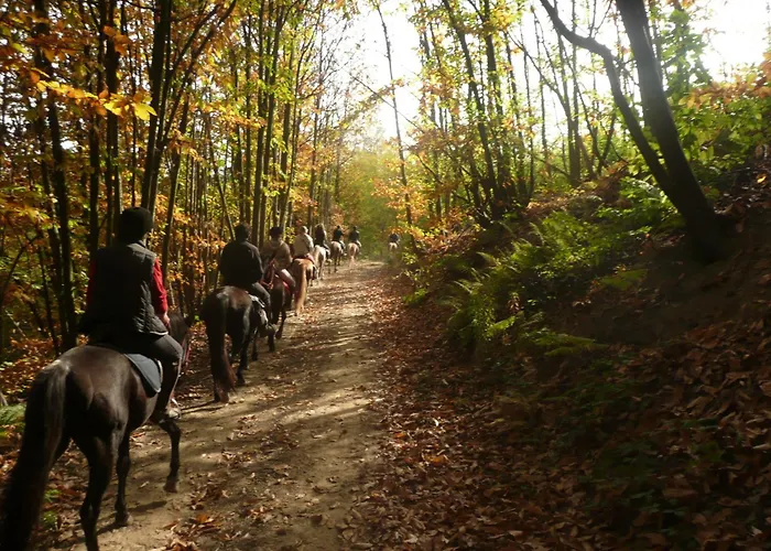Agriturismo Bio-Ecologico Sant'Isidoro
